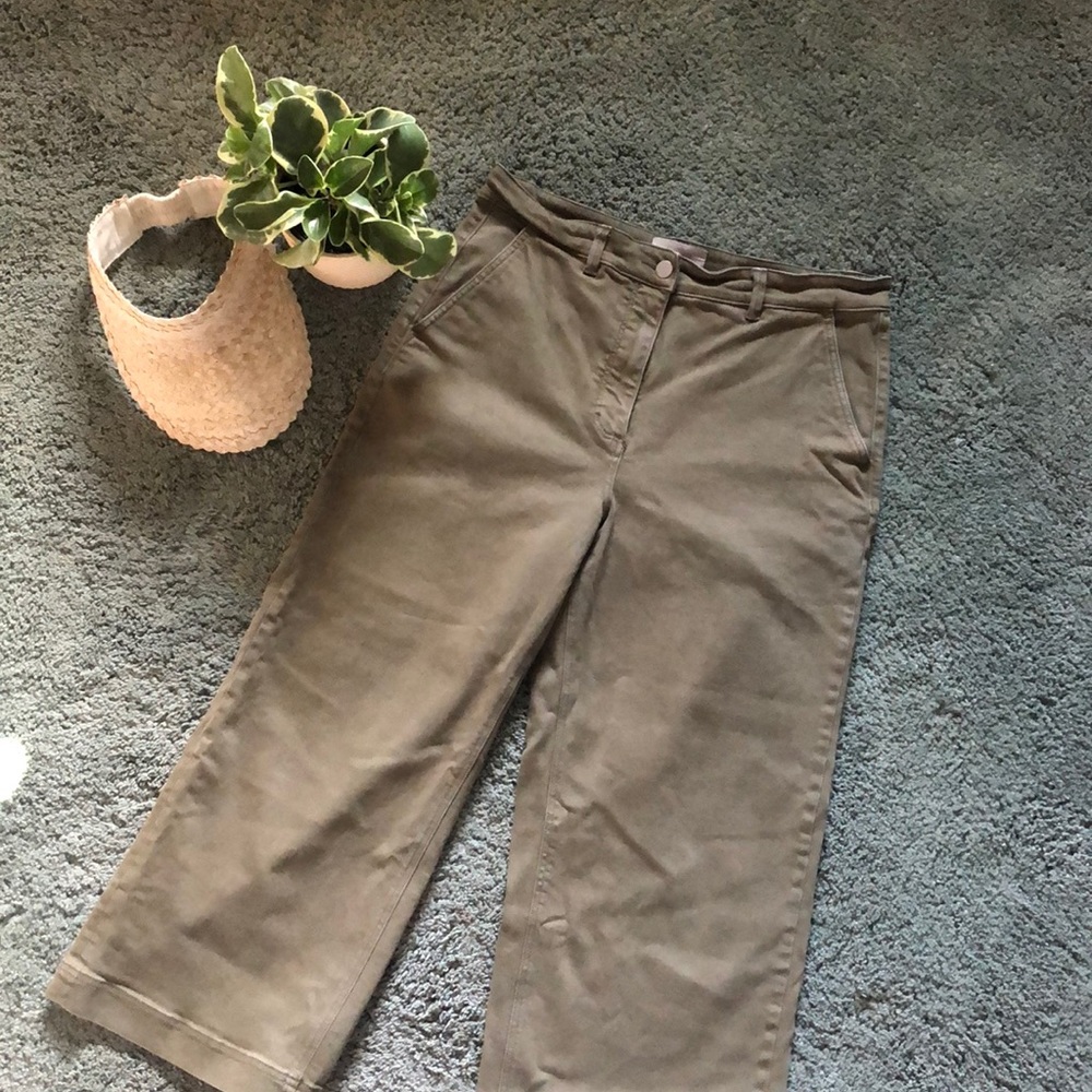 Everlane Wide Leg Crop